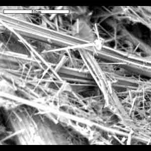 fibras microscopio